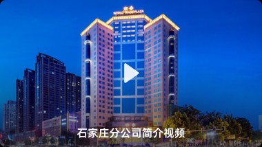 ������ʯ��ׯ�ֹ�˾