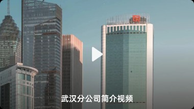 �������人�ֹ�˾