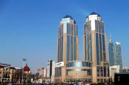 3.1����������ֹ�˾������Ͷ����