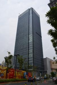 8.8��������Я�ֺ�������������