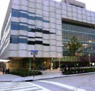 ����������CIF��˹͡�Ƶ���Ŀ��չ