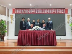 ������Я�����Ϸ�Э�����Ͷ��