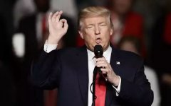 �й����˽������ж��٣�|��������