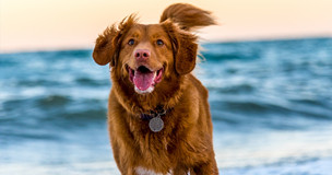 ���ڴ����ﹷ�ع���������ƪ����