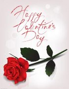 �ʻ�����õı������������ʲô���˽����