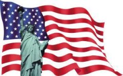 ����Ͷ������������£���Ŀѡ��