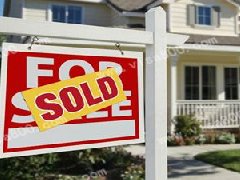 ����Ͷ������������������