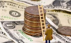 Ͷ���������ز����𣺡�Ѻ��������