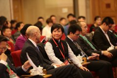 I Fei Chang���̵غ���ز�Ͷ��ʵ