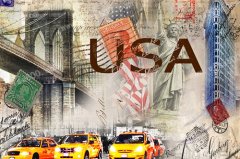 ������������ѧ����������Ͱ���