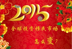 2015�꣬ȫ��Ͷ�������г���ô�䣿