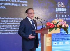 κ���������ʹ�ϵ��ȫ��Ͷ�ʶ��й�����