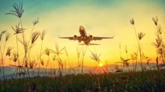 25��ŷ��ŷ�˺�ѡ�����գ���ǩŷ��+��������+��Уֱͨ��