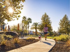 ��������ׯ԰һ����Ŀ��չ��2026��1�£�